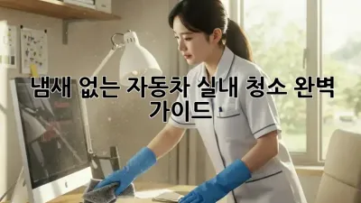 냄새 없는 자동차 실내 청소, 완벽 가이드